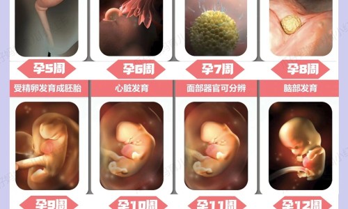 权威孕妇梦见好多流星坠落地面平台,分享专业孕妇梦见好多流星坠落什么意思知识_孕妇梦见好多流星坠落网