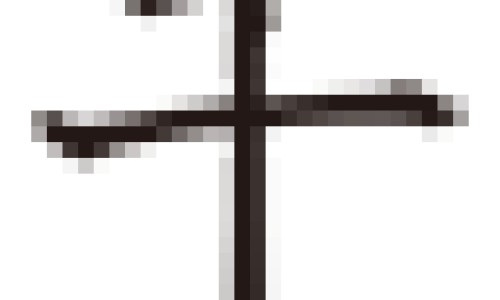干槟榔的功效与作用